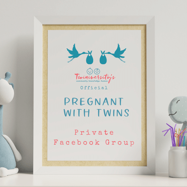 Pregnant with Twins Private Facebook Group