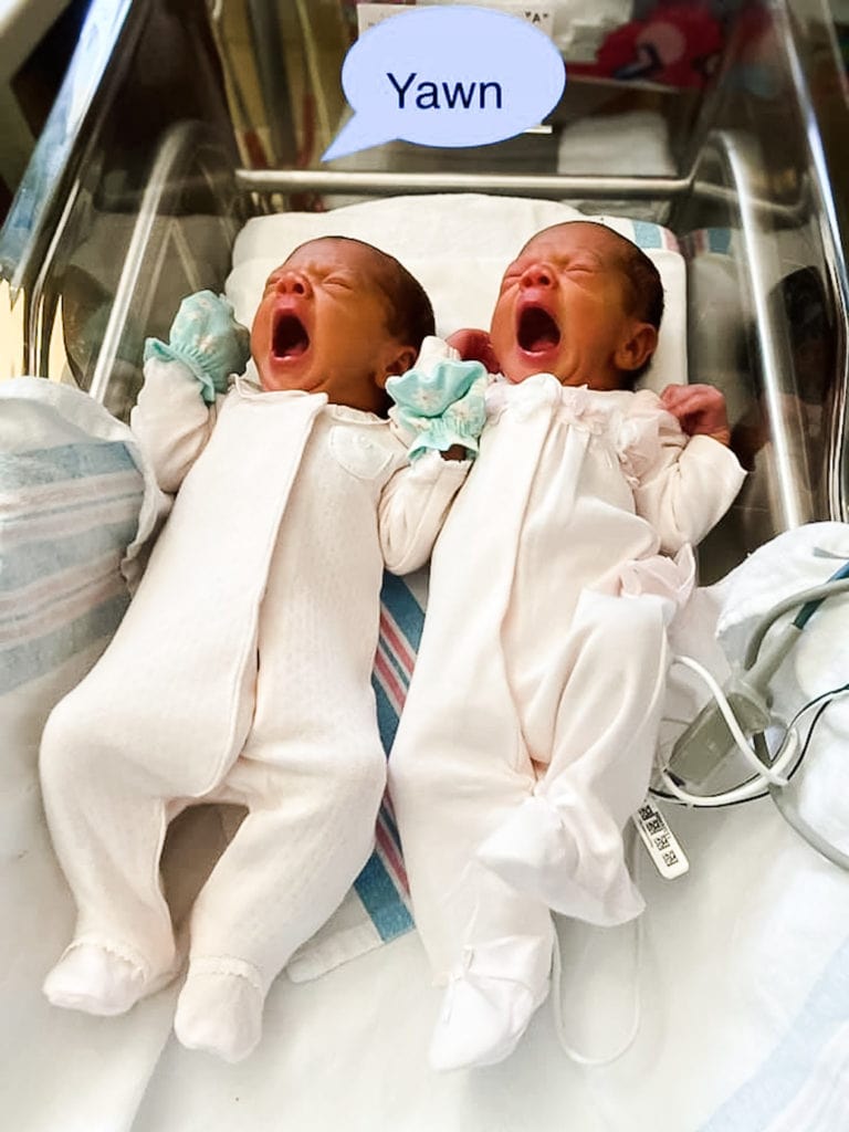 newborn twin girls in a bassinet in the hospital