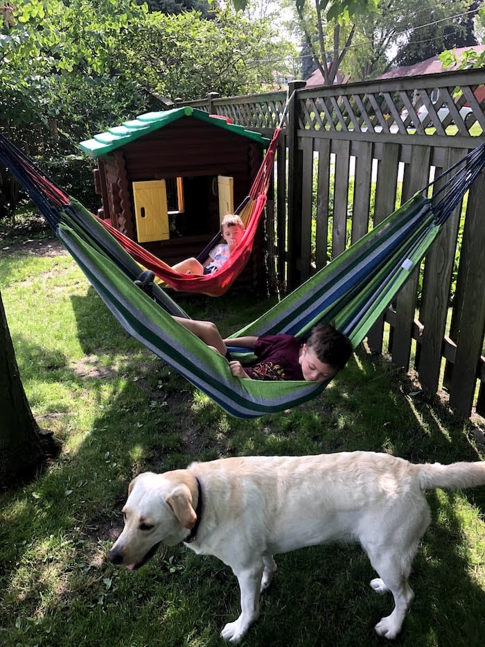 two hammocks with two boys inside them hanging by a tree and a wooden fence with a playhouse in the background and a dog in the foreground