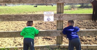 twin boys leaning over a fence at a farm