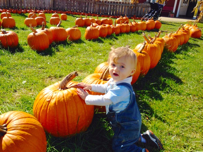 baby boy at a pumpkin patch