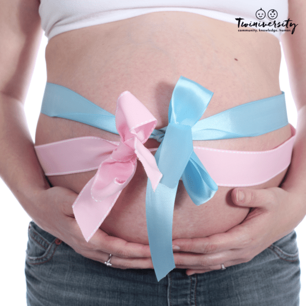 pregnant with twins