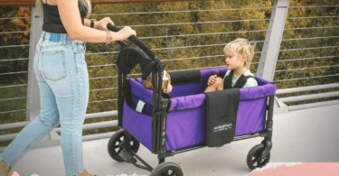 Everything You Want to Know About the Wonderfold Wagon