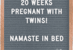 20 weeks pregnant with twins