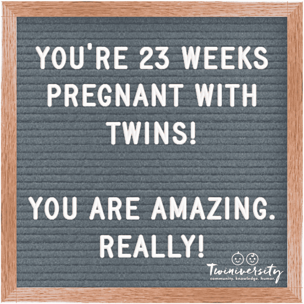 23 weeks pregnant with twins