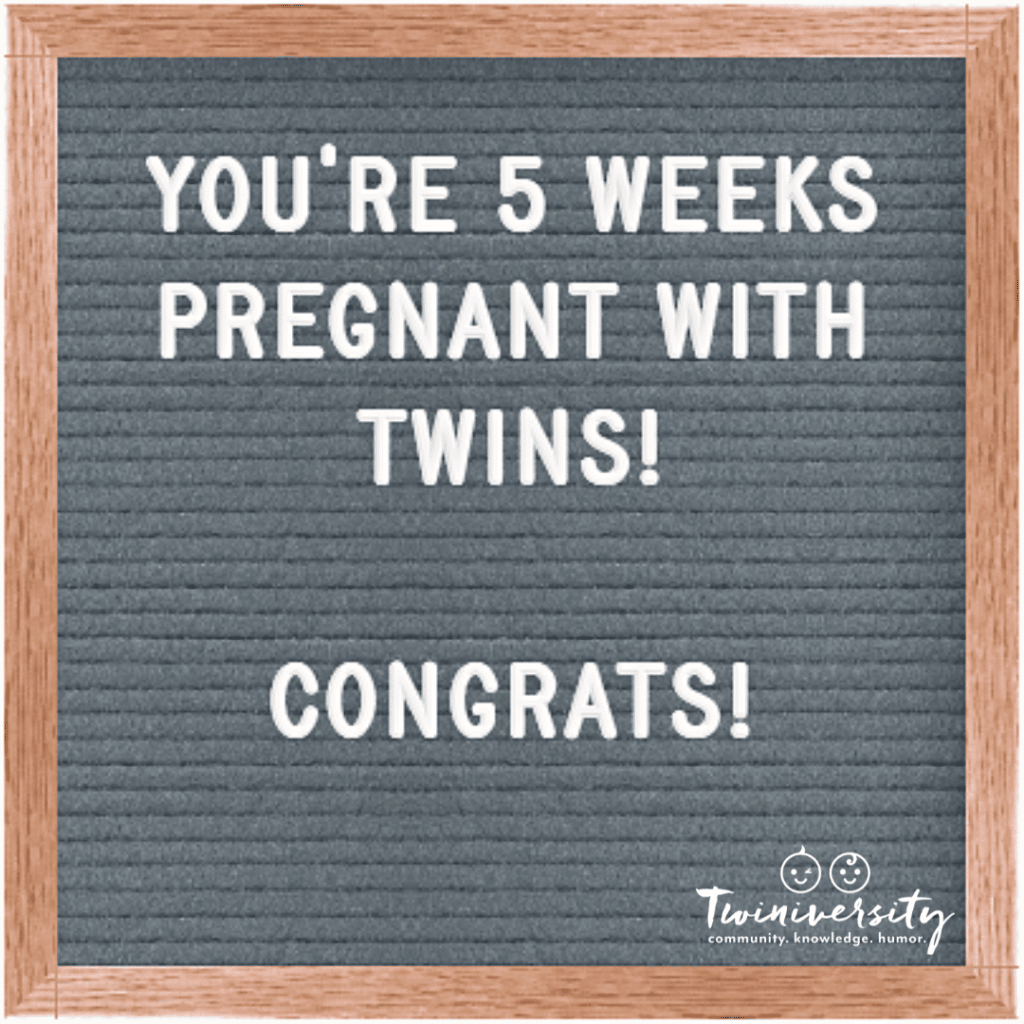 5 weeks pregnant with twins