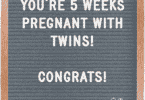 5 weeks pregnant with twins