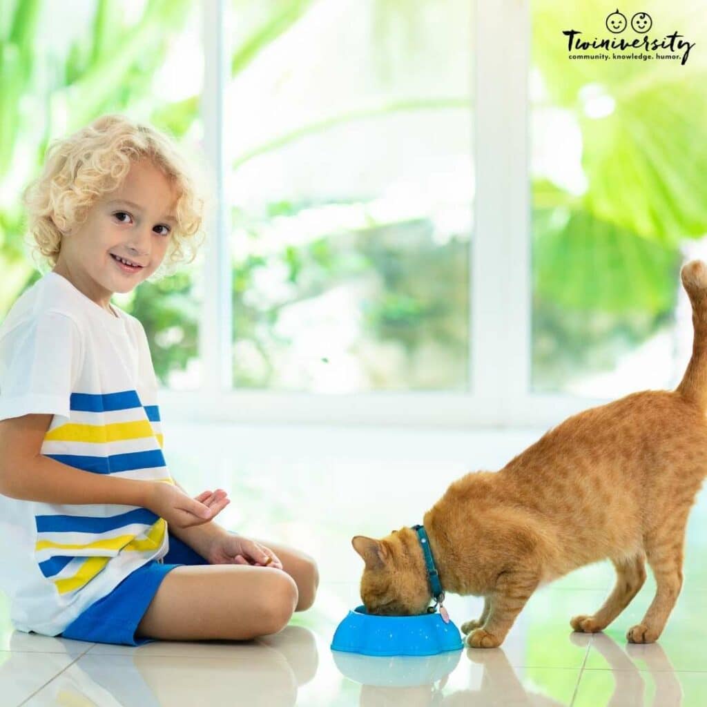 Boy is feeding his cat, which is an appropriate chore for him at this age