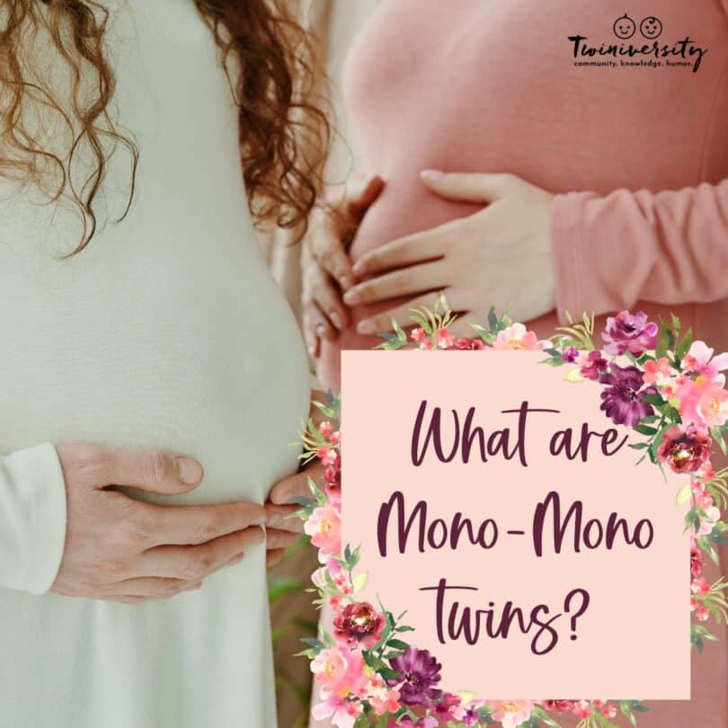 What Are Mono-Mono Twins?