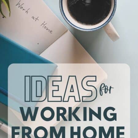Ideas for Working From Home with Twins