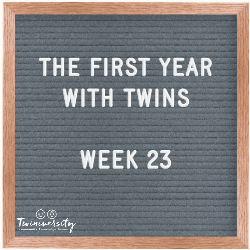 Your First Year with Twins: Advice from Experienced Twin Parents