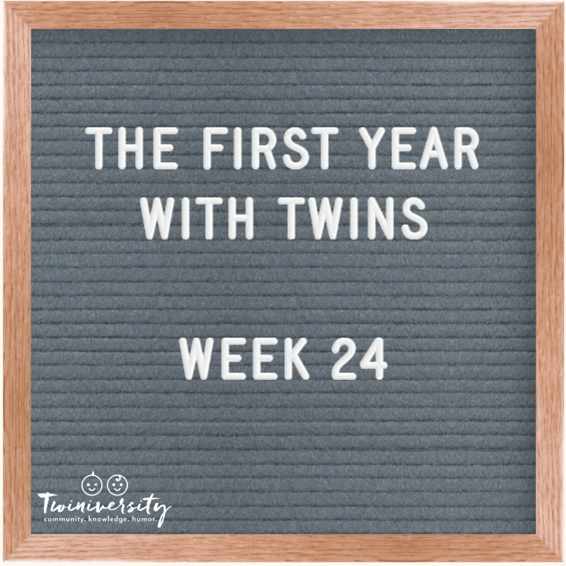 The First Year with Twins Week 24