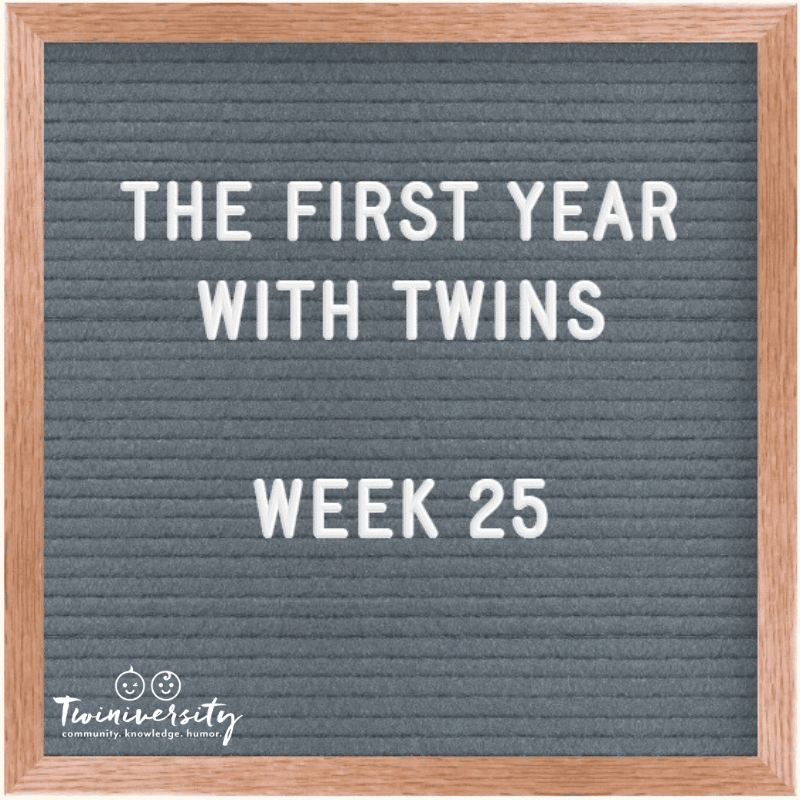 The First Year with Twins Week 25