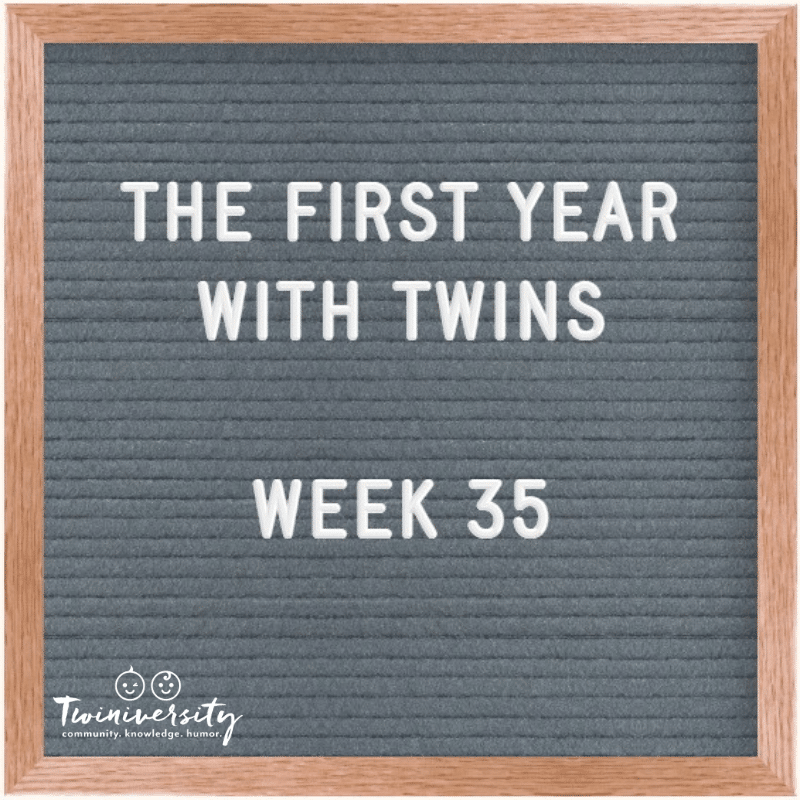 Your First Year with Twins: Advice from Experienced Twin Parents