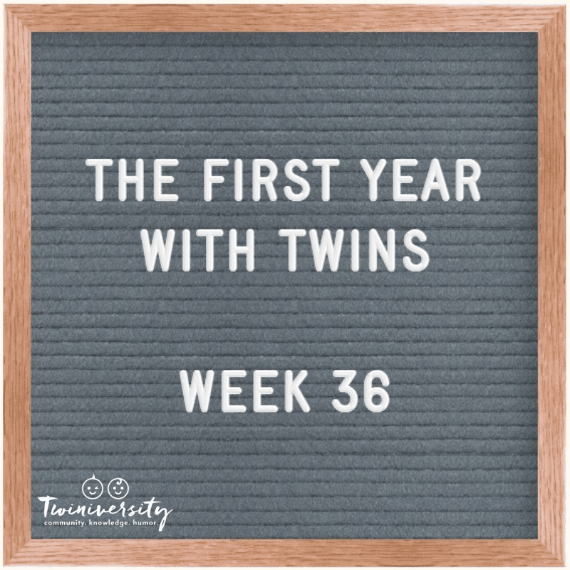 Your First Year with Twins: Advice from Experienced Twin Parents