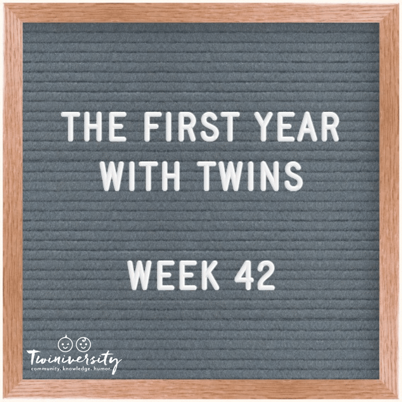 Your First Year with Twins: Advice from Experienced Twin Parents