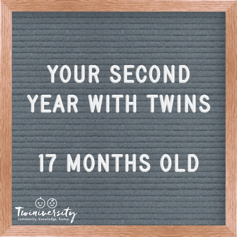 Your Second Year with Twins: Advice from Experienced Twin Parents