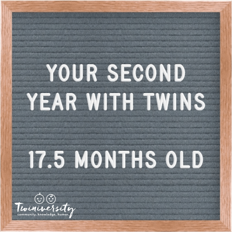 The Second Year with Twins 17.5 Months Old