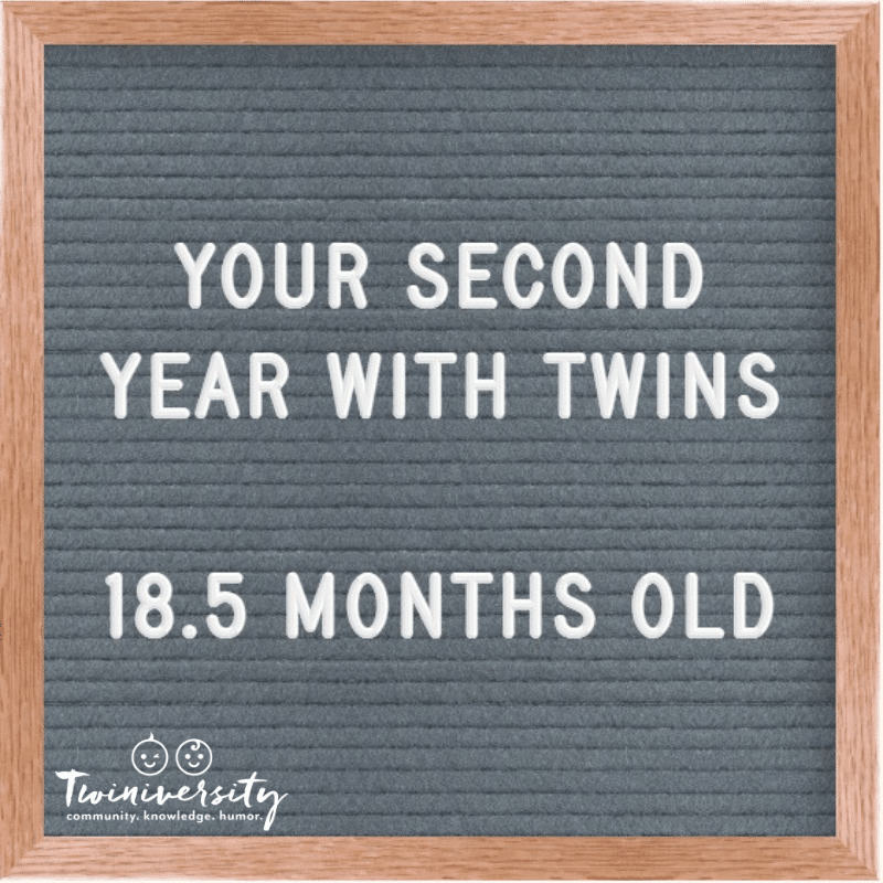 The Second Year with Twins 18.5 Months Old