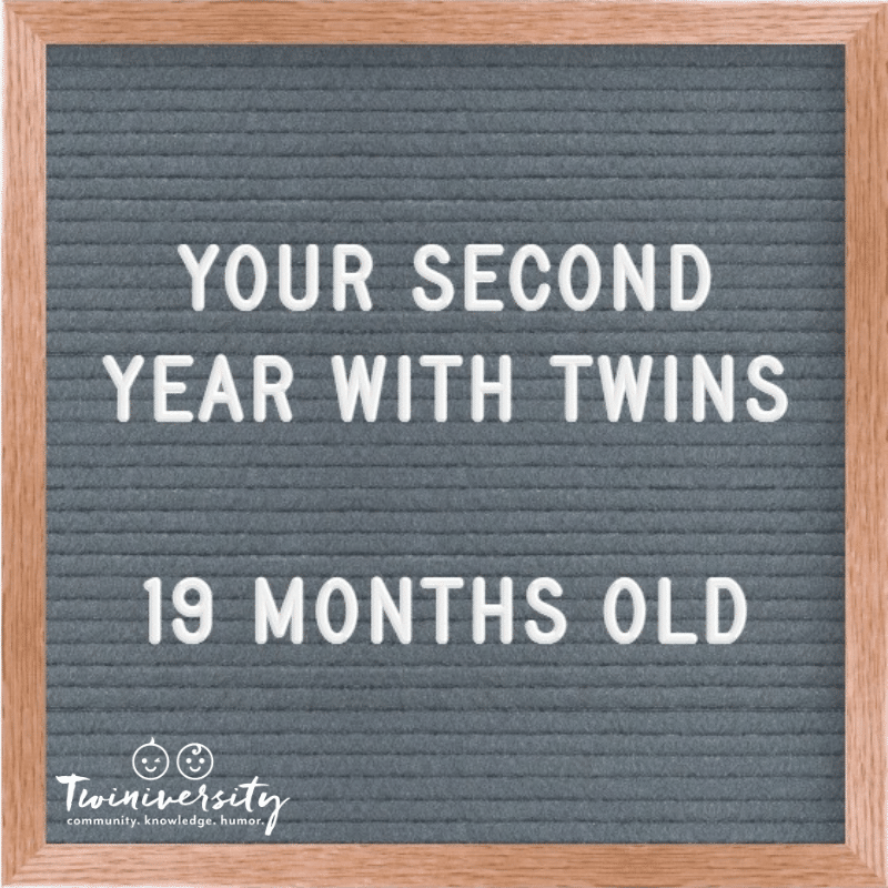 Your Second Year with Twins: Advice from Experienced Twin Parents