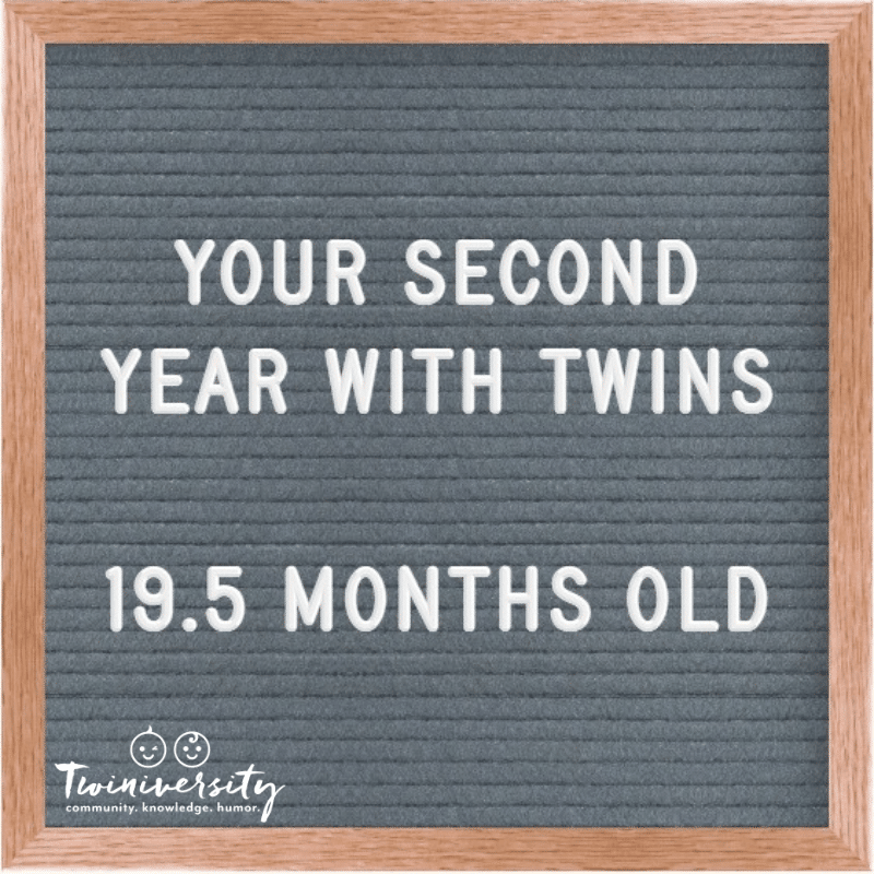 The Second Year with Twins 19.5 Months Old