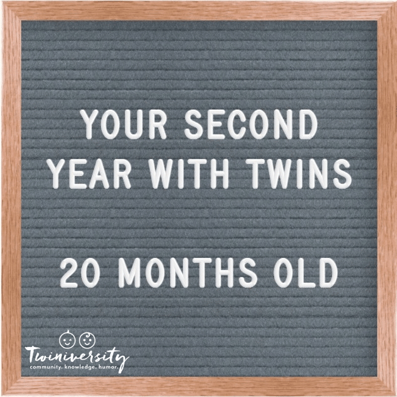 Your Second Year with Twins: Advice from Experienced Twin Parents