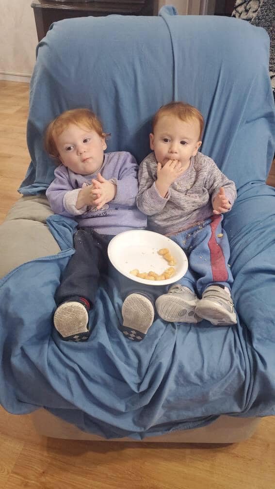 The Second Year with Twins 18 Months Old
