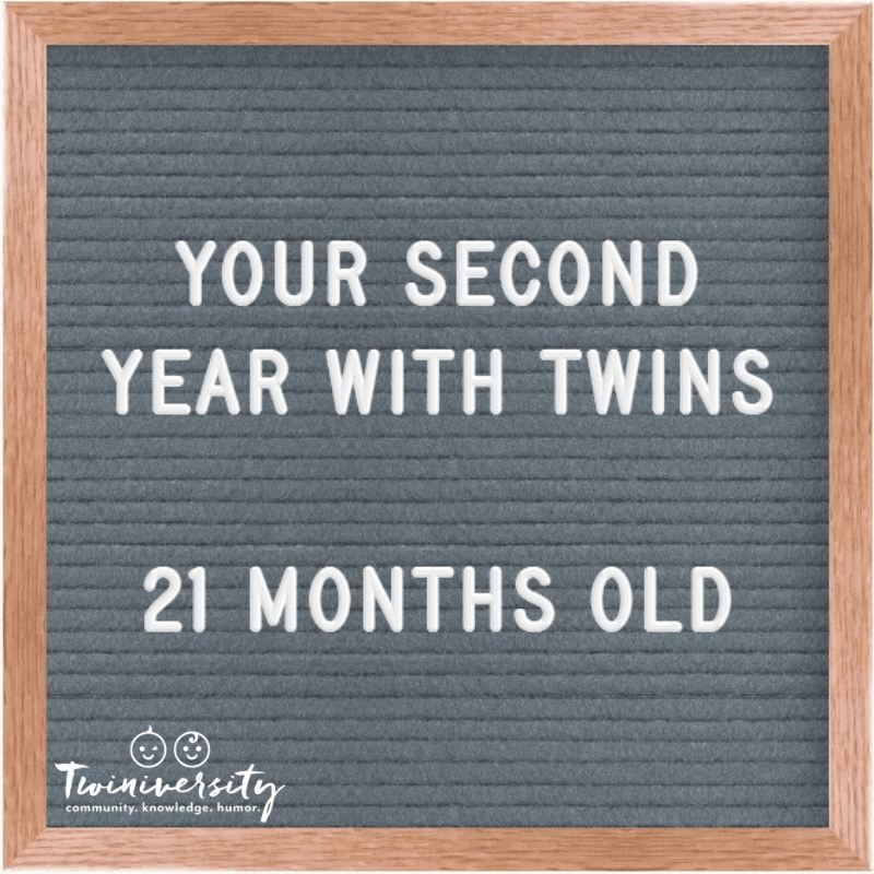 The Second Year with Twins 21 Months Old