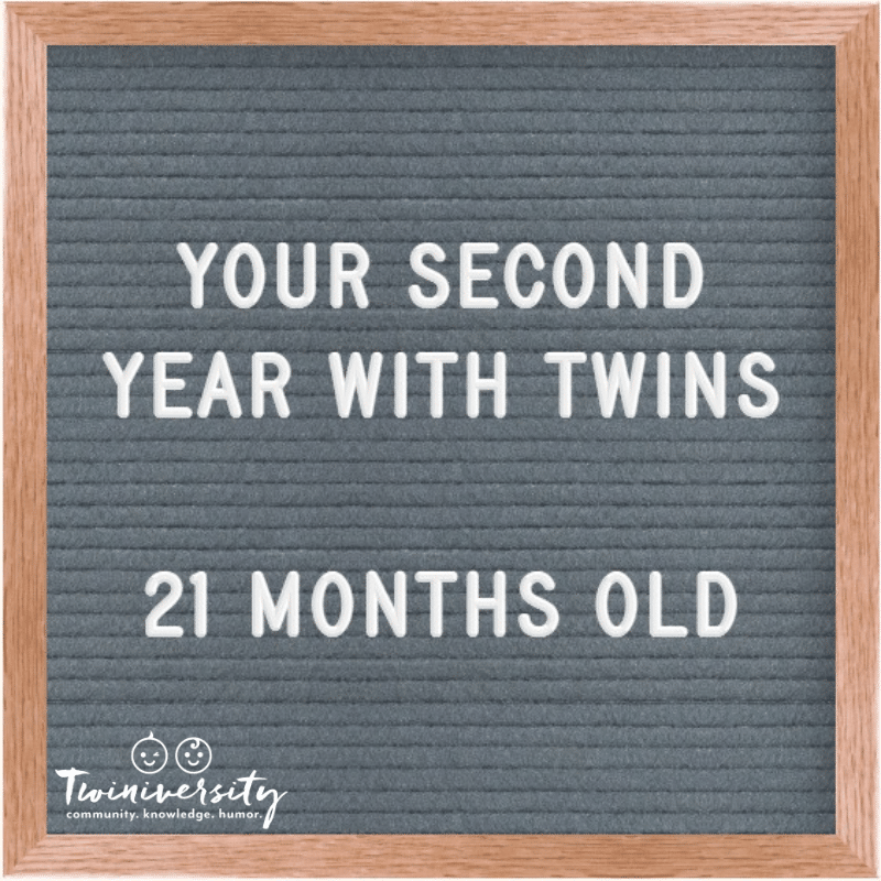 Your Second Year with Twins: Advice from Experienced Twin Parents