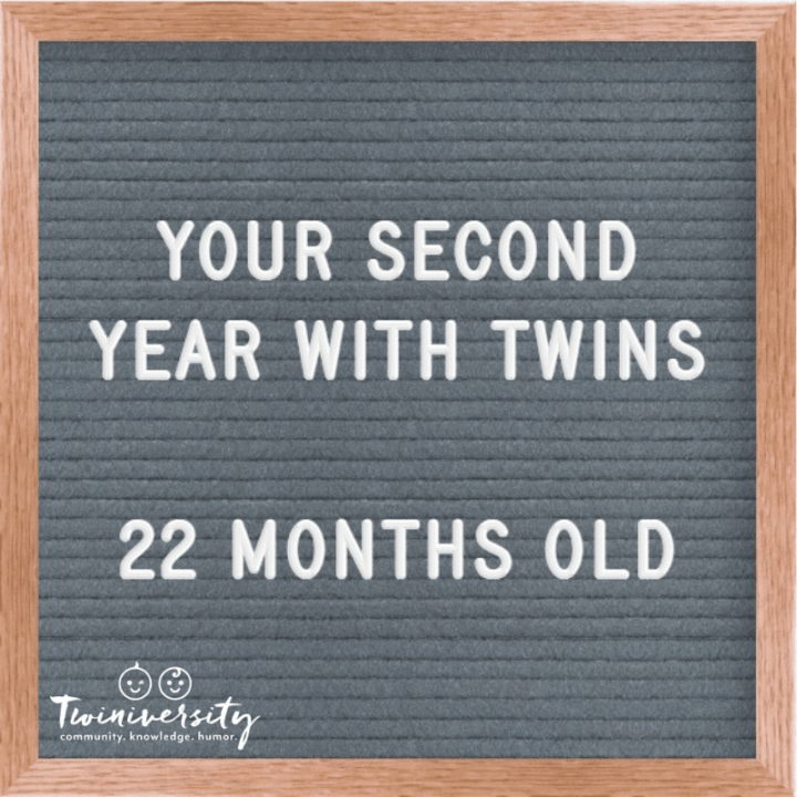 Your Second Year with Twins: Advice from Experienced Twin Parents