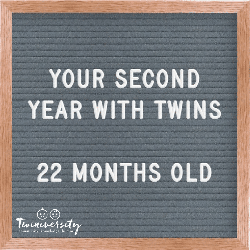 The Second Year with Twins 22 Months Old