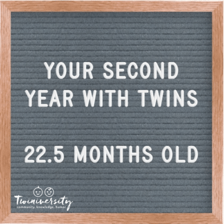 The Second Year with Twins 22.5 Months Old
