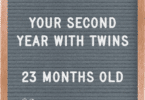 The Second Year with Twins 23 Months Old