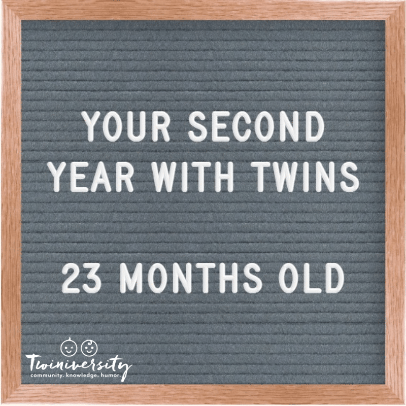 The Second Year with Twins 23 Months Old