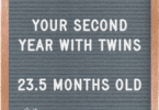 The Second Year with Twins 23.5 Months Old
