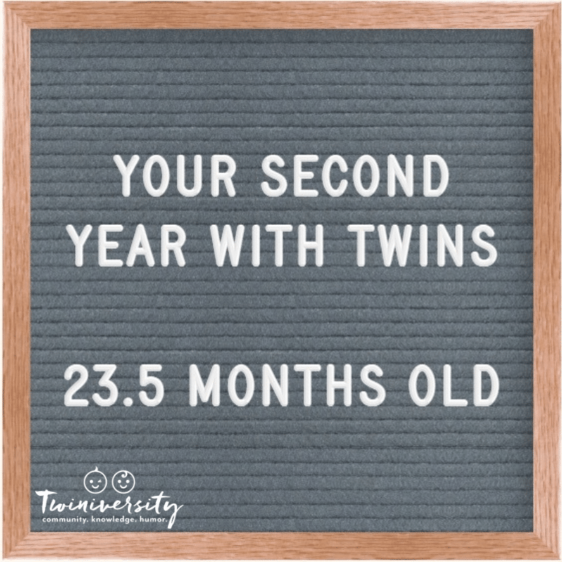 The Second Year with Twins 23.5 Months Old