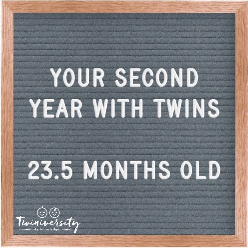 Your Second Year with Twins: Advice from Experienced Twin Parents