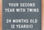 The Second Year with Twins 24 Months Old