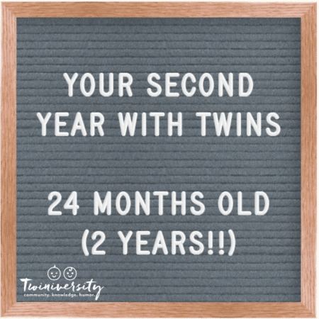 The Second Year with Twins 24 Months Old