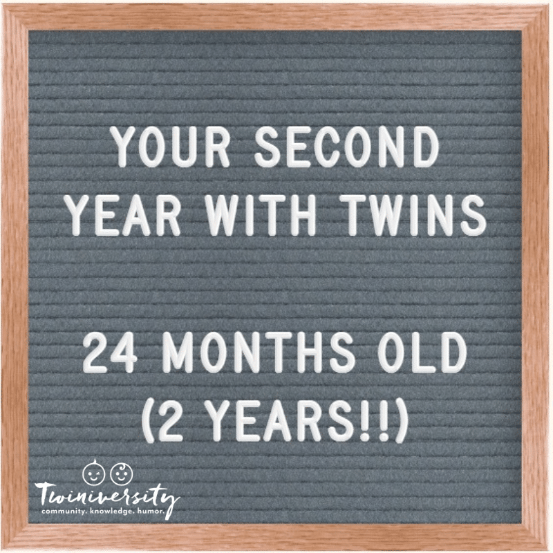 Your Second Year with Twins: Advice from Experienced Twin Parents