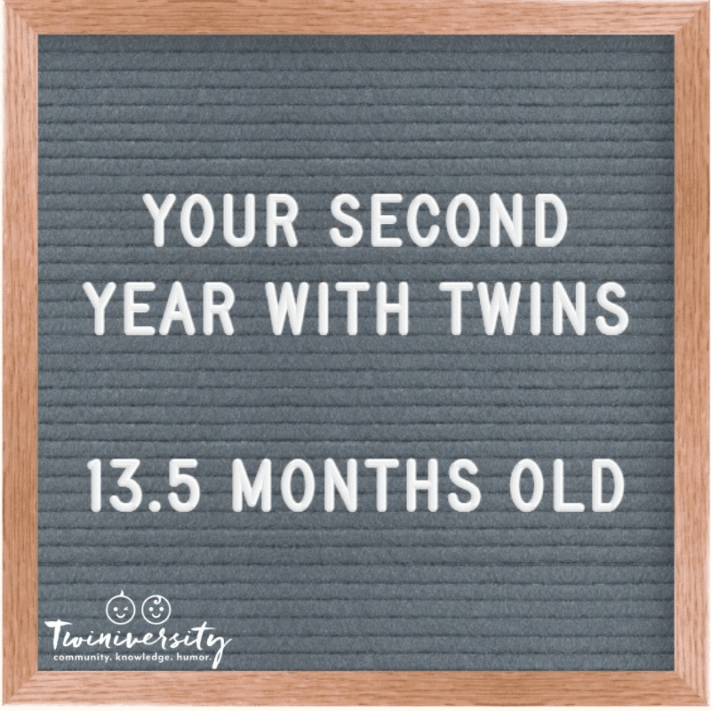 Your Second Year with Twins: Advice from Experienced Twin Parents