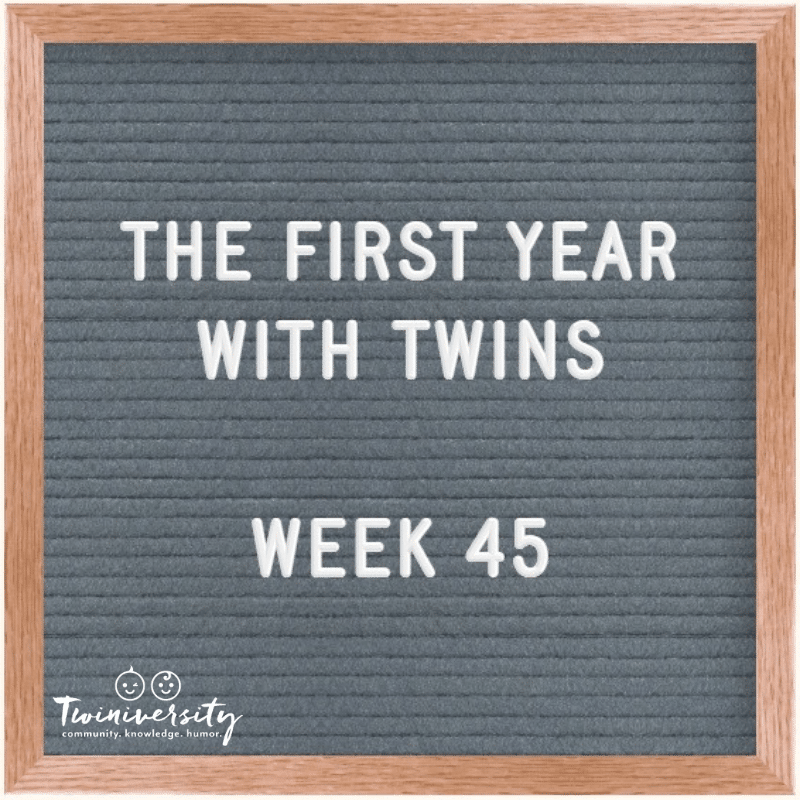 Your First Year with Twins: Advice from Experienced Twin Parents