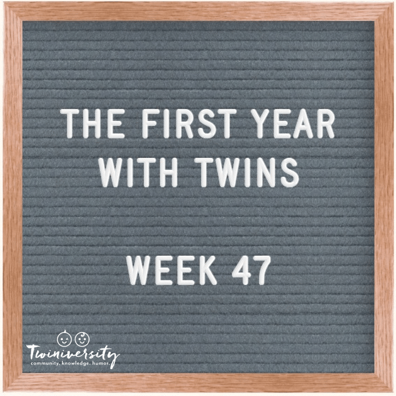 Your First Year with Twins: Advice from Experienced Twin Parents