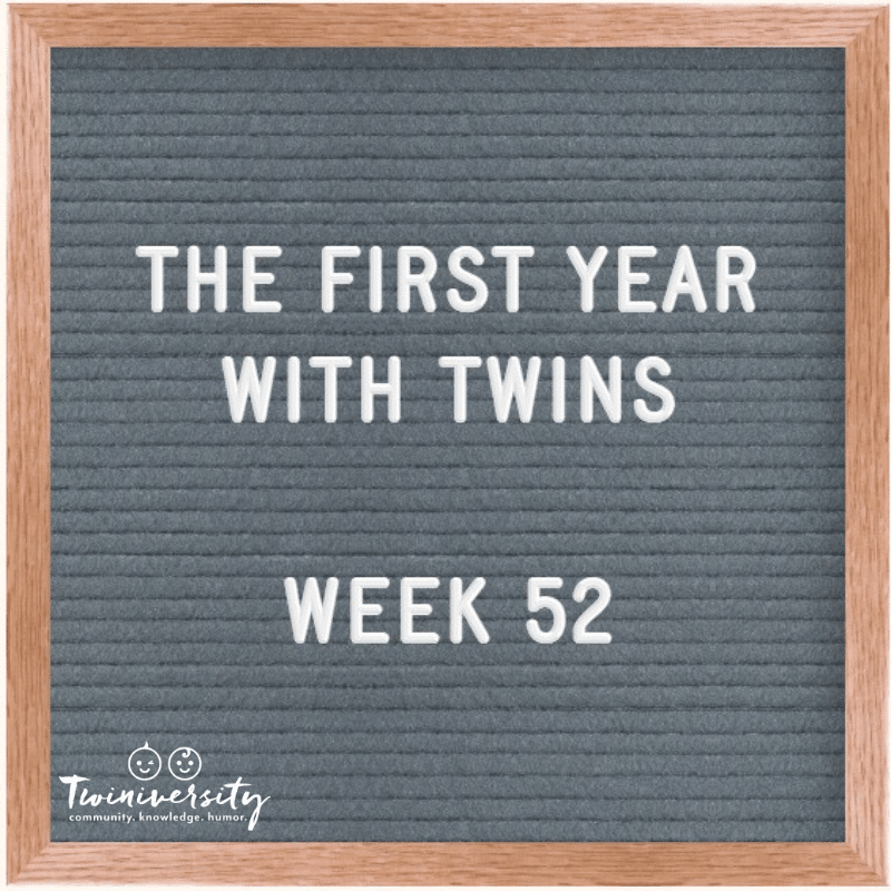 Your First Year with Twins: Advice from Experienced Twin Parents