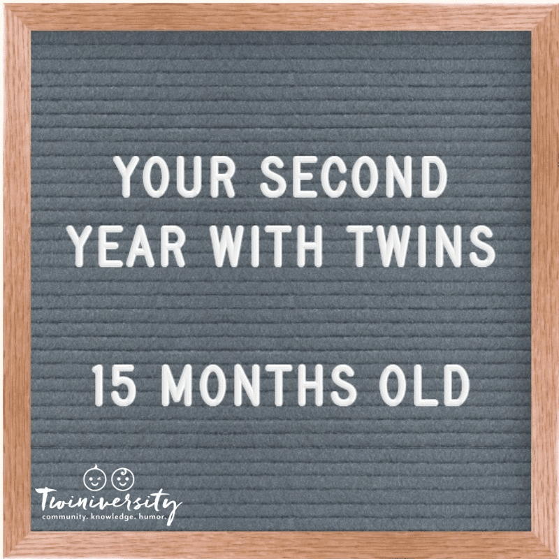 Your Second Year with Twins: Advice from Experienced Twin Parents