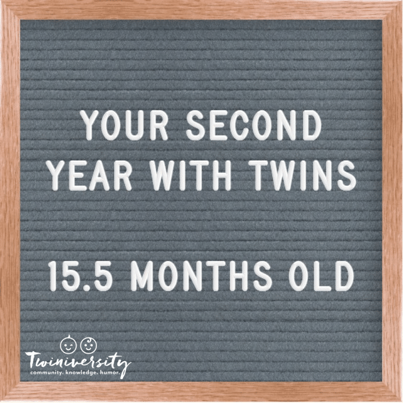 Your Second Year with Twins: Advice from Experienced Twin Parents