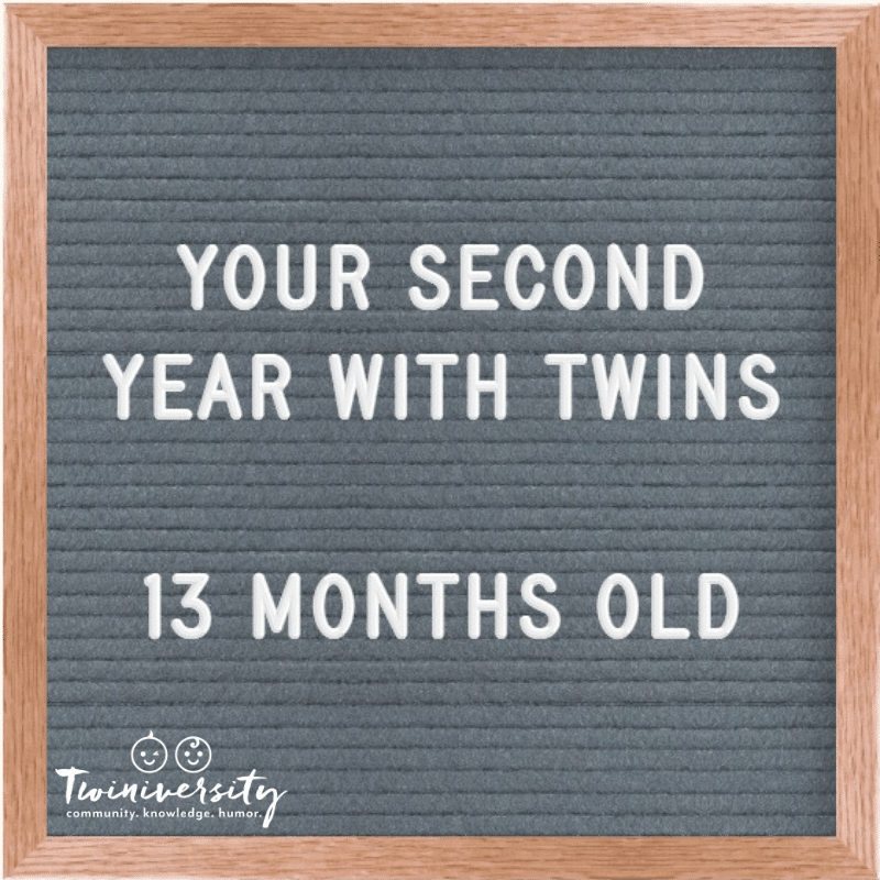 Your Second Year with Twins: Advice from Experienced Twin Parents