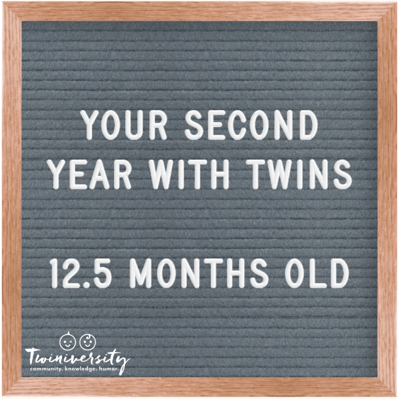 The Second Year with Twins 12.5 Months Old