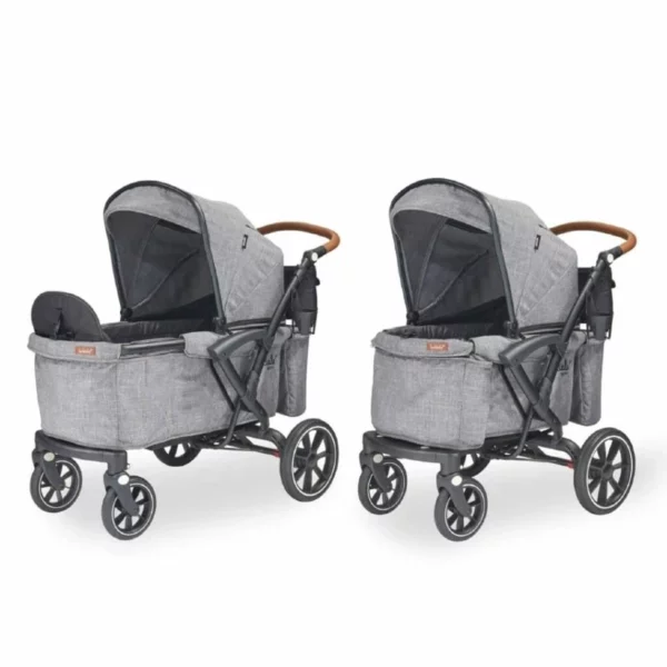 Double Stroller Wagon