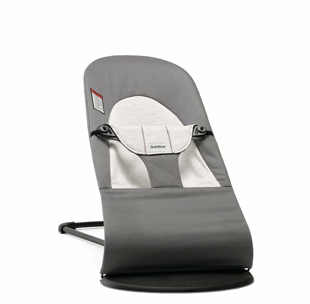 Baby bouncers, like the Baby Bjorn Bouncer is a newborn twin must have